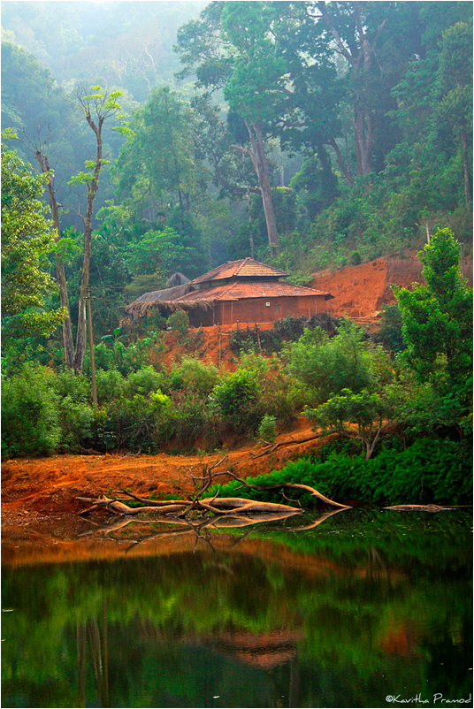 kavitha pramod, house in jungle, western ghats