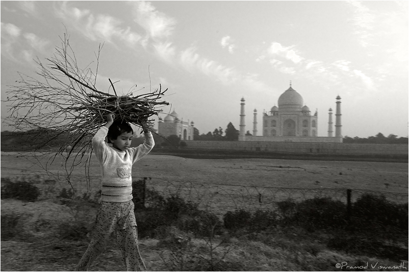 Test of time, Taj Mahal, Agra, India Travel photography